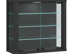 ebuy24 VitrosaS Vitrinenschrank Wandhängend 2 Glastüren Anthrazit