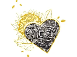 elles Sonnenblumenkerne 2,5 kg