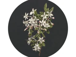 ESTAhome Wandtattoos^Selbstklebende Runde Tapete Blüte Hellrosa und Schwarz Ø 70 cm 158992