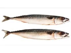 ESTAhome Wandtattoos^Wandtattoo Fische Grau 97 x 48,5 cm 159040