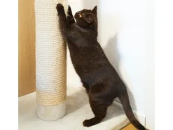 eyepower Katzenbedarf^Ersatz-Sisalstamm für Katzen-Kratzbaum 20 cm Ø 9,2 cm M8