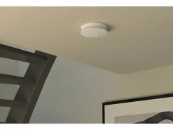 Fischer Gardinenstangen^Gipskartondübel Duoblade 40 Stück