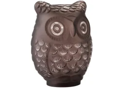 FlowerPower LED-Deko-Eule Nocuta