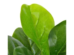 furnicato Künstliche Pflanze Geigen-Feige mit Topf Grün 90 cm
