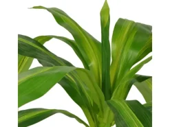 furnicato Kunstpflanzen^Künstlicher Drachenbaum mit Topf 100 cm Grün