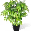 furnicato Kunstpflanzen^Künstlicher Zwerg-Ficus mit Topf 60 cm