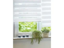 Gardinia Doppelrollo 80 cm x 160 cm Weiß