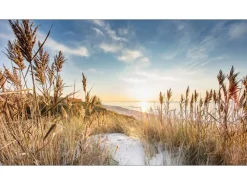 Pro Art Bilder^Giclèe Wilder Strand III 160 cm x 90 cm