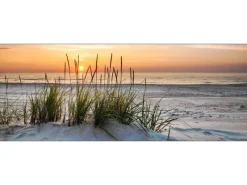 Pro Art Bilder^Glas-Art Lonely Dune 30 cm x 80 cm