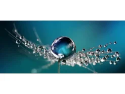 Pro Art Bilder^Glasbild Drop On Water 80 cm x 30 cm