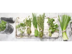 Pro Art Glasbild Ingredients VI 80 cm x 30 cm