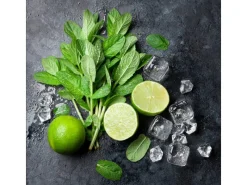 Pro Art Bilder^Glasbild Lime & Ice Cube 20 cm x 20 cm