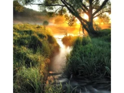 Pro Art Glasbild Misty landscape II 30 cm x 30 cm