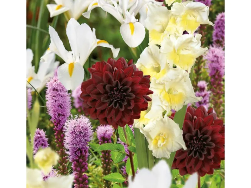 GROW by OBI Vasen^Schnittblumen-Kollektion Höhe ca. 50 cm - 100 cm