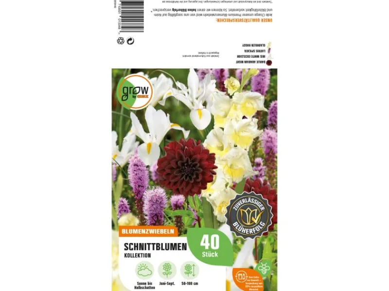 GROW by OBI Vasen^Schnittblumen-Kollektion Höhe ca. 50 cm - 100 cm