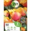 GROW by OBI Vasen^Tulpe Lambada Orange 5 Stück Tulipa fringed Lambada