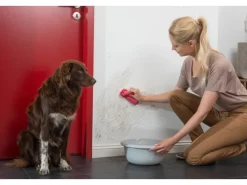 Histor Weißlacke^Clean Wandfarbe Weiß seidenmatt 5 l