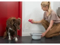 Histor Weißlacke^Clean Wandfarbe Weiß seidenmatt 5 l