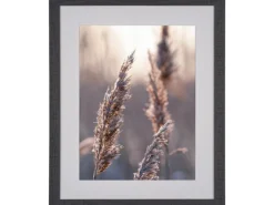 Bilderrahmen^Holzbilderrahmen Breit 40 cm x 50 cm