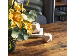 holz4home Tische^Couchtisch Connie mit Gitterablage