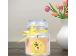 HS Candle Windlichter^Duftkerze & Bonbon Glas Comic Vanille Gelb