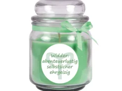 HS Candle Duftkerze & Glas Sternzeichen Coconut Limes 70 Stunden Widder