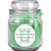 HS Candle Duftkerze & Glas Sternzeichen Coconut Limes 70 Stunden Zwillinge