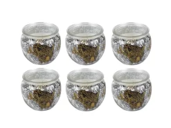 HS Candle Windlichter^Duftkerze Motiv 6er Pack Anti Tabak Ginger Lime