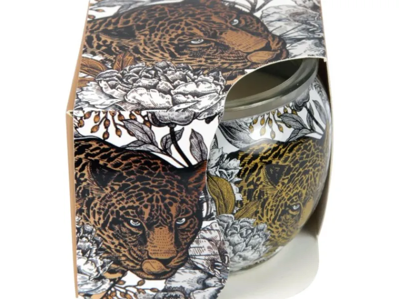 HS Candle Kerzen^Duftkerze Motiv Kerze Raumduft AntiTabak Ginger Lime