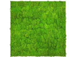 Jangal Wanddekoration|Bastelzubehör^Wandpaneel Modular Wall Bright Green Moos 52 x 52 cm
