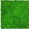 Jangal Wandpaneel Modular Wall Rich Green Moos 52 x 52 cm