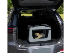 Juskys Faltbare Hundetransportbox Lassie L