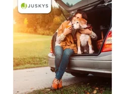 Juskys Faltbare Hundetransportbox Lassie M