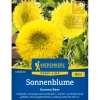 Kiepenkerl Sonnenblume "Gummy Bear" Helianthus annuus
