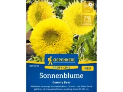 Kiepenkerl Sonnenblume "Gummy Bear" Helianthus annuus
