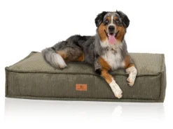 Knuffelwuff Hundekissen Lesedi Cord 80x60cm