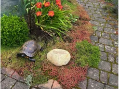 Dekorative Figuren^Kobolo Dekostein DRAGONFLY aus Naturstein