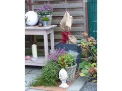 Proflora Kokosfaser Rückwand für Terrarien 120 cm x 60 cm