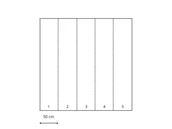 Komar Fototapeten^Fototapete Blumen und Vögel Blau und Rosa 250 x 250 cm 611191