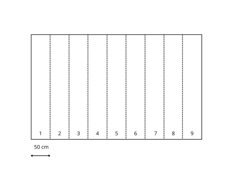 Komar Fototapete Heißluftballons Blau und Beige 4,50 x 2,80 m 612807