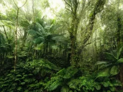 Komar Tapetenmuster|Fototapeten^Fototapete Mindfulness Grün 350 x 250 cm 611636