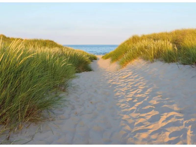 Komar Fototapeten^Fototapete Sandy Path 368 cm x 254 cm FSC®