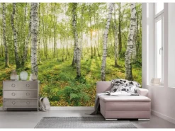 Komar Fototapeten^Fototapete Vlies Birch Trees 400 x 250 cm