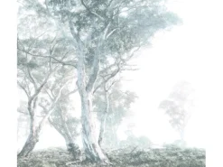 Komar Fototapete Vlies Magic Trees 300 x 280 cm