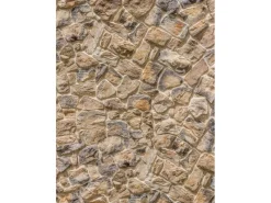 Komar Fototapete Vlies Muro 200 x 260 cm
