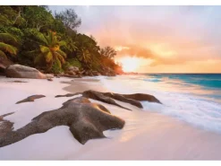 Komar Fototapete Vlies Nature 368 cm x 248 cm FSC® FSC®