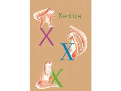 Komar Poster^Wandbild ABC Animal X 50 x 70 cm