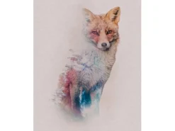 Komar Wandbild Animals Fox 40 x 50 cm