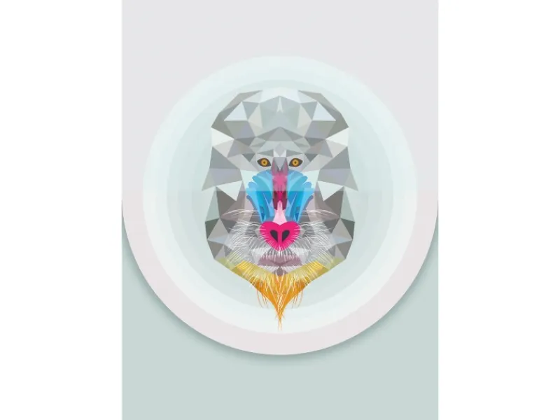 Komar Wandbild Baboon 50 x 70 cm