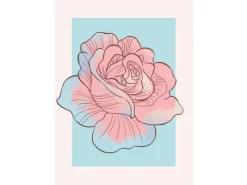 Komar Bilder|Poster^Wandbild Cinderella Rose 50 x 70 cm